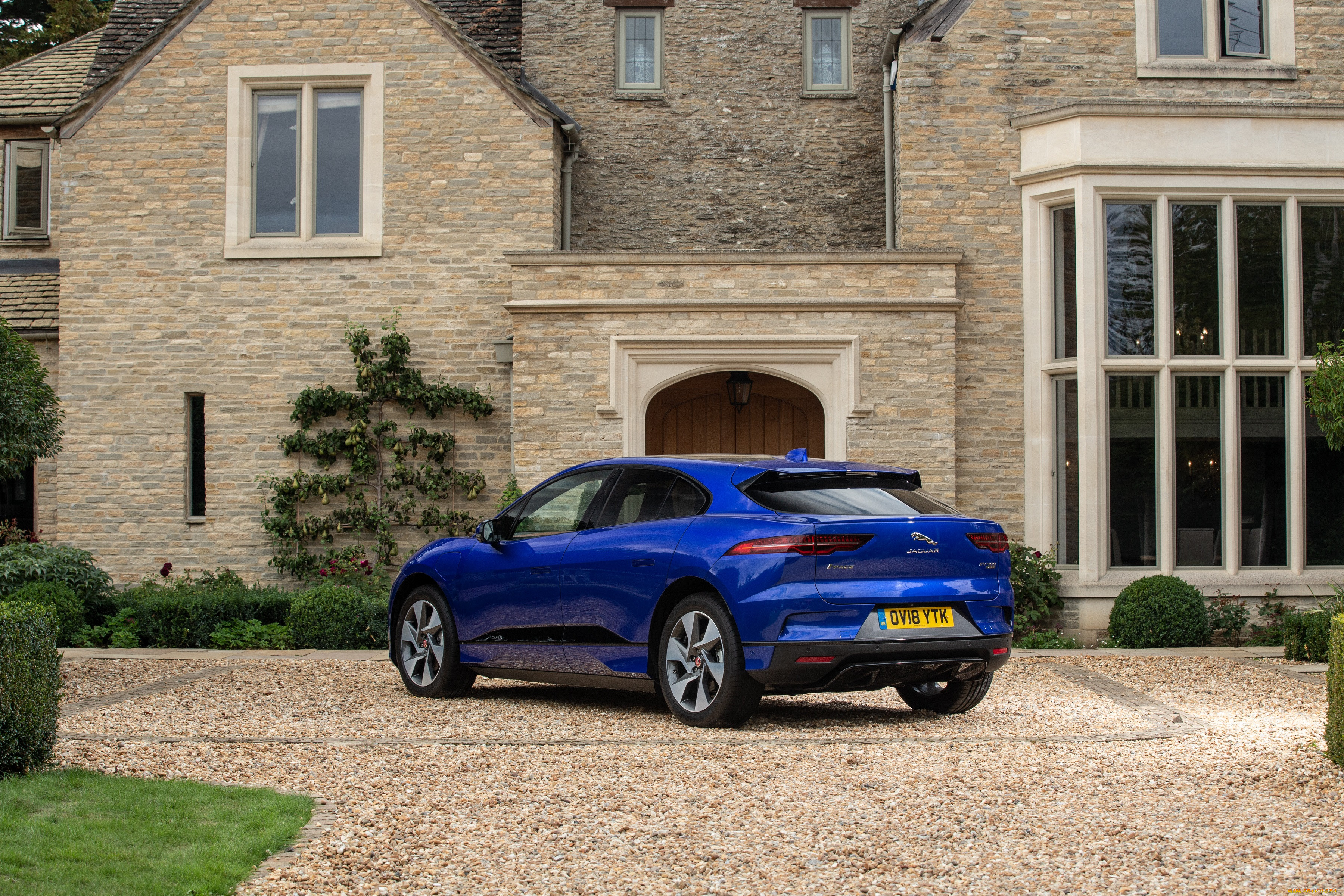 , jaguar